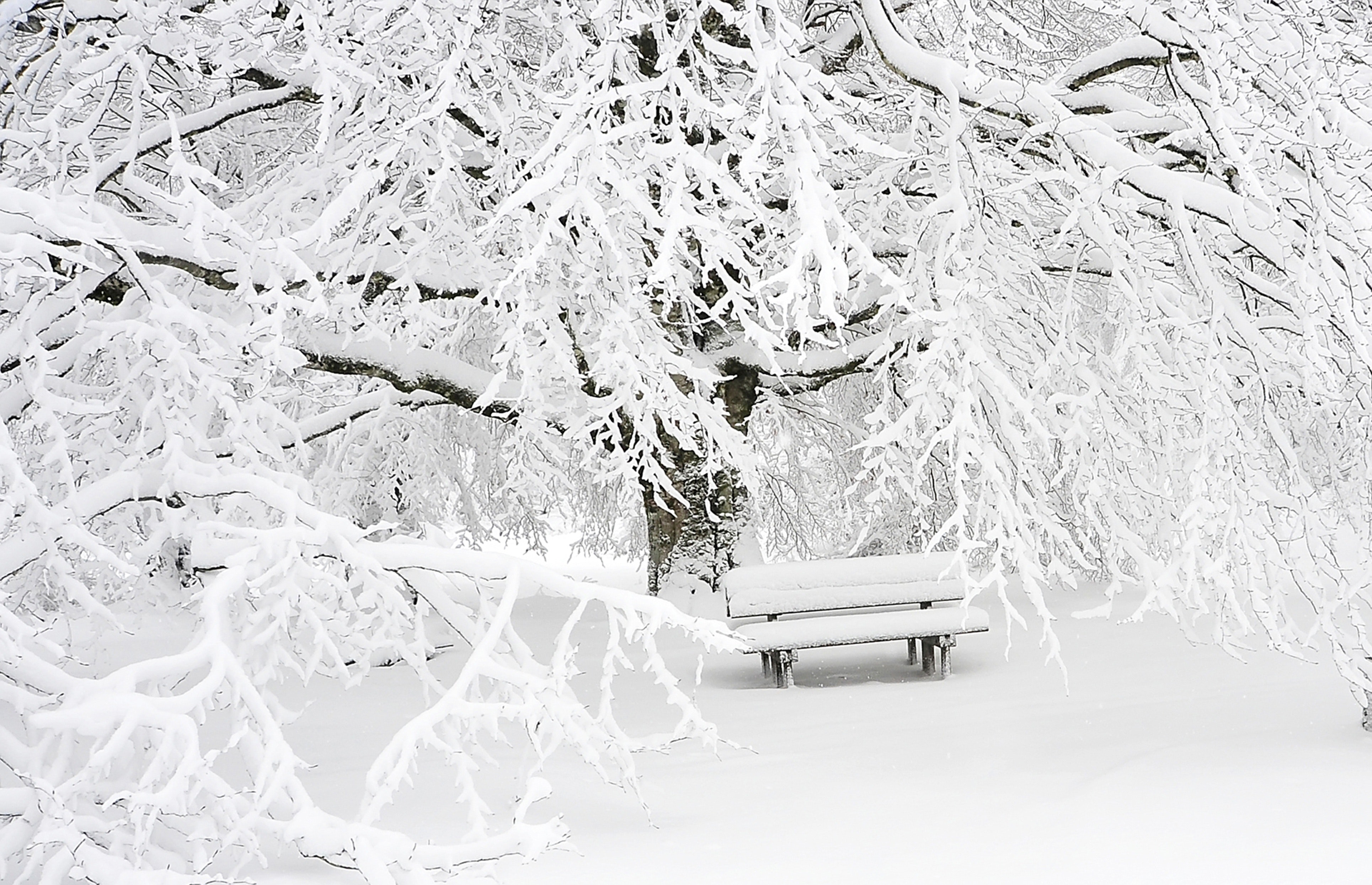 bench-cold-empty-209839
