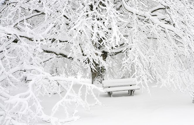 bench-cold-empty-209839