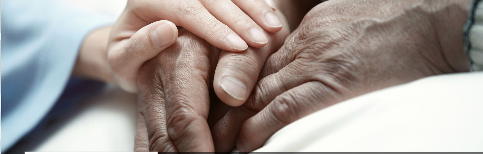 Screen Shot 2019-04-02 at 5.53.12 PM