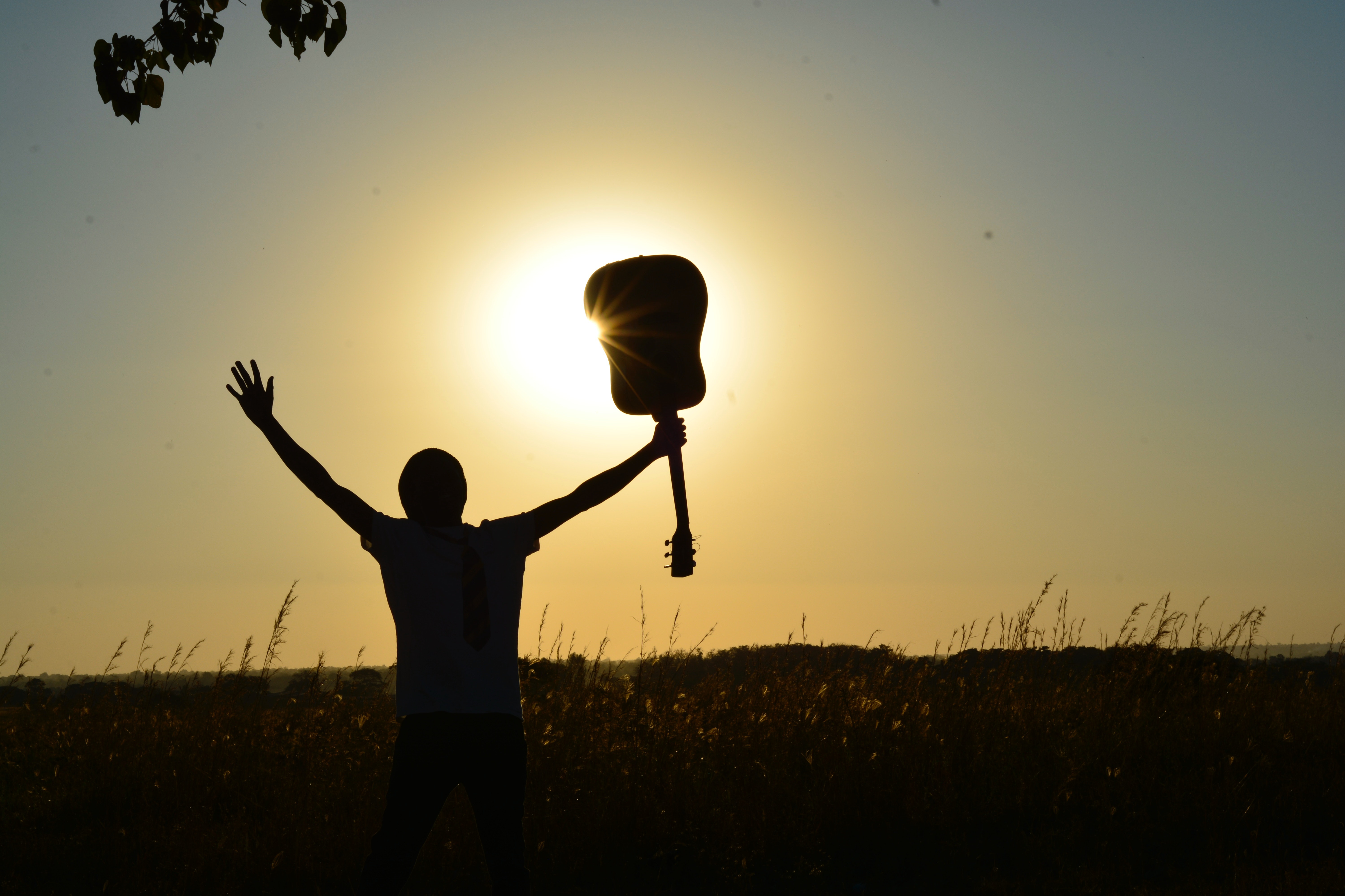 silhouette-of-man-holding-guitar-on-plant-fields-at-daytime-89909